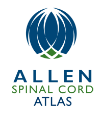 Logo_spinalcord